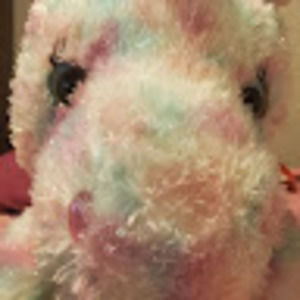 Meet your Posher, Lena